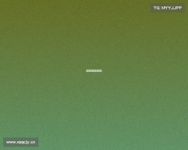 电子竞技总冠军李晓峰